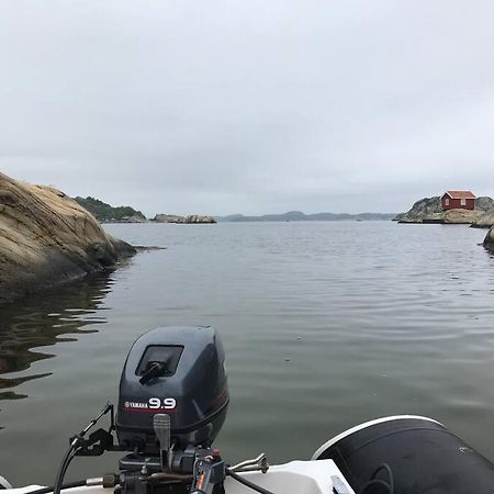 Tjodalyng - Ved Viksfjord - Sokkelleilighet Larvik Eksteriør bilde