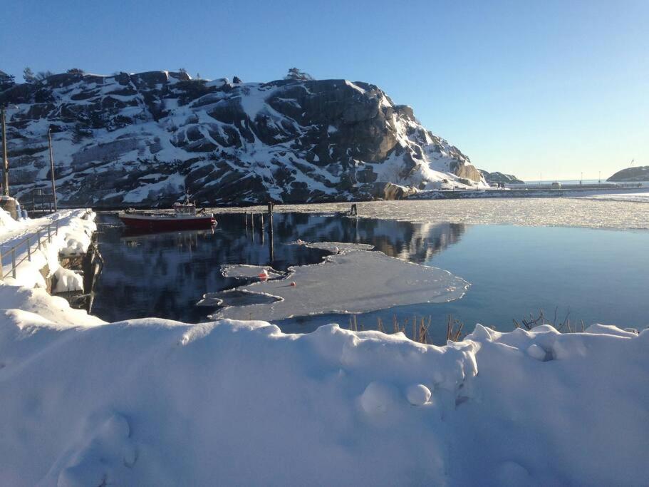 Tjodalyng - Ved Viksfjord - Sokkelleilighet Larvik Eksteriør bilde