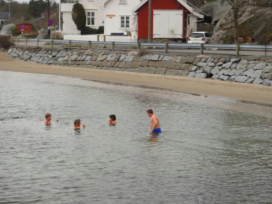 Tjodalyng - Ved Viksfjord - Sokkelleilighet Larvik Eksteriør bilde